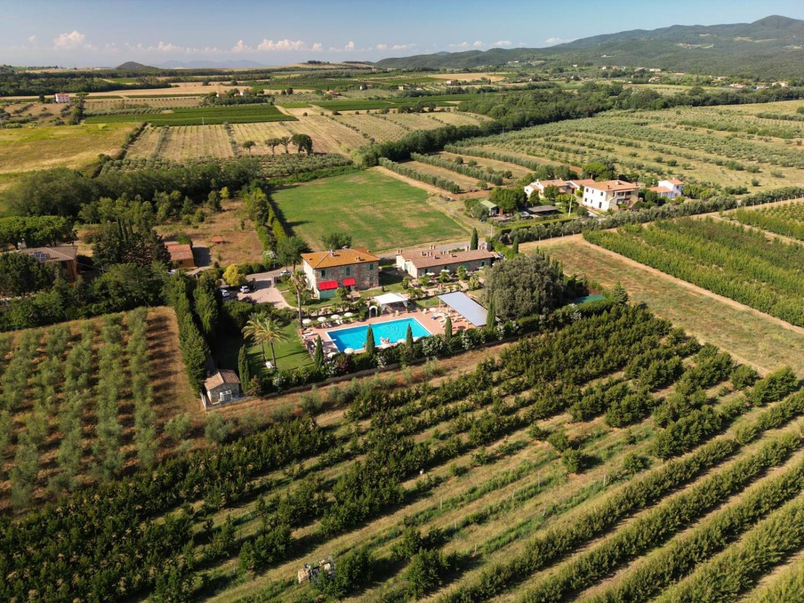 Podere Gli Olmi 切奇纳 外观 照片