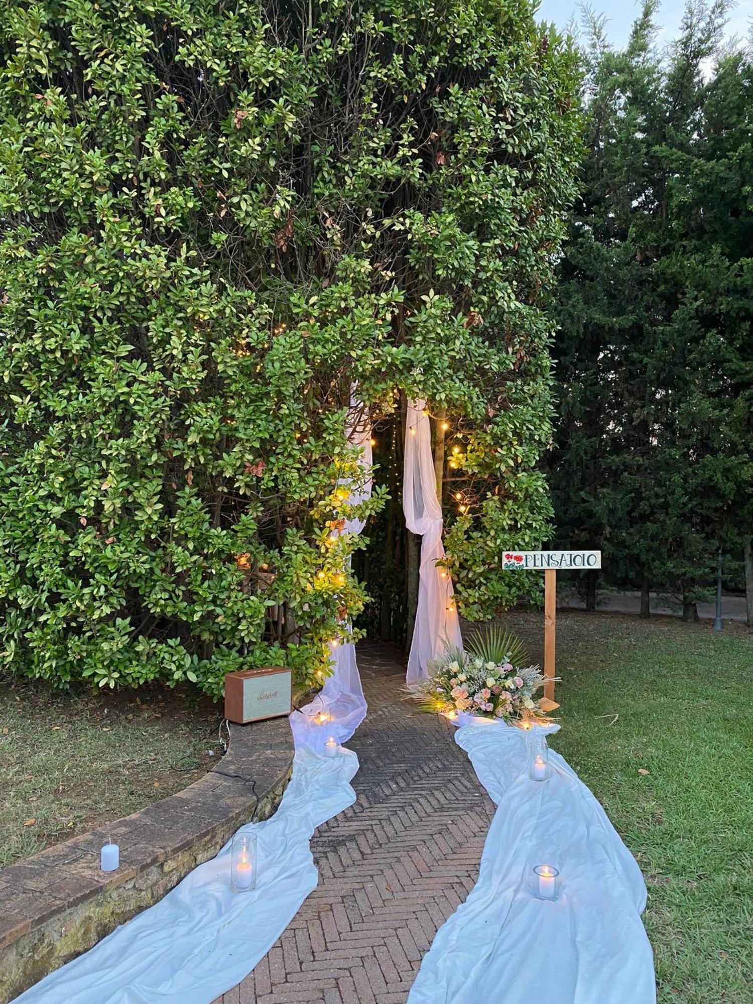 Podere Gli Olmi 切奇纳 外观 照片